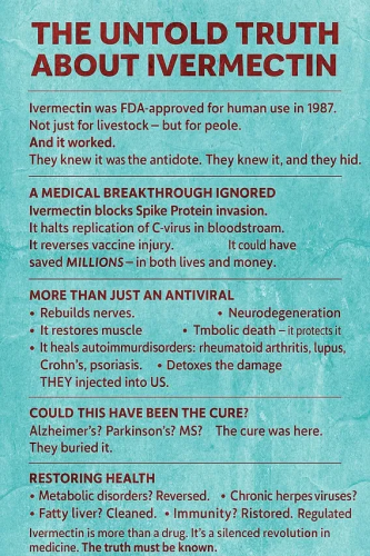 image_2025-06-26_065604716