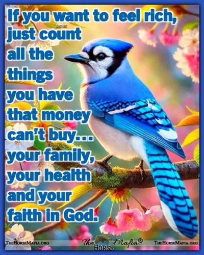 3865e538-5bcb-4fba-8eb2-7995c16208d0