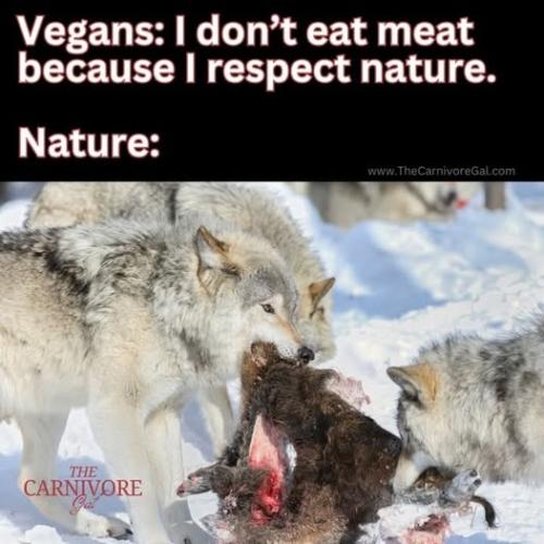 504719269_122233370738235862_6502170923910632168_n