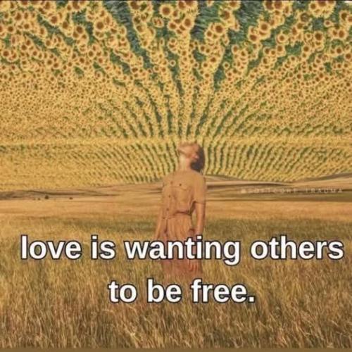 7afbfd9b1d01b16ed9bbf71d036a5a4a_1024