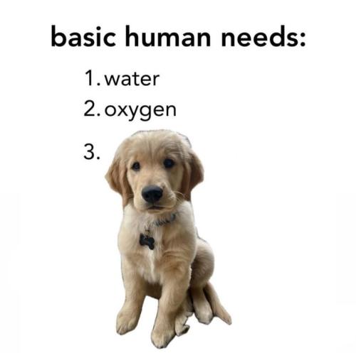 7638043d113777dc7c09255cd5600c11