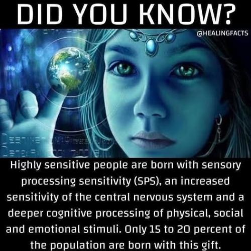 513827711_600118889796730_1585452875333077900_n