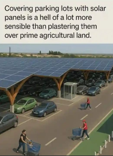 Screenshot 2025-06-03 094621