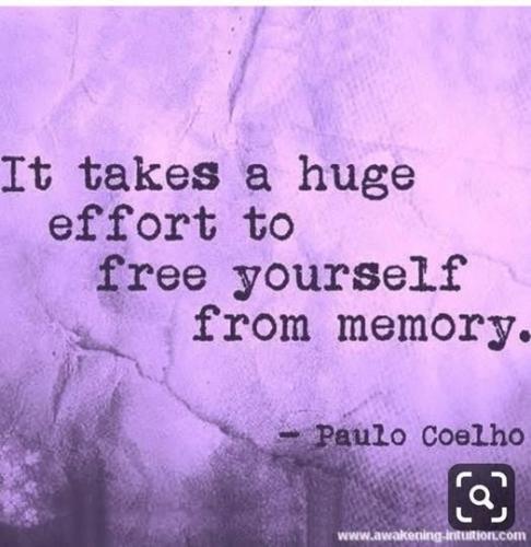 499518635_722431207339741_5630852296750076229_n