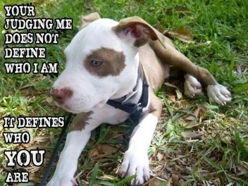 454a3db9923f36f097fcd9789e46cb3f