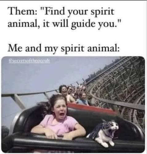 514362594_715222257882517_5840983613857077167_n