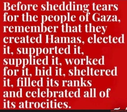 c4335c45a0750cacb5a8dbf32c80fe62a5e7a4404ccb990dd6d9606f154539f6_1