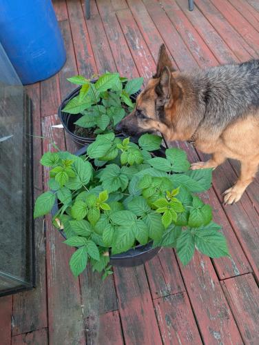 87d1986b-7f11-4059-9e69-b985e8eead34