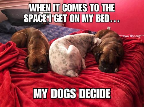 FB_IMG_1750764709438