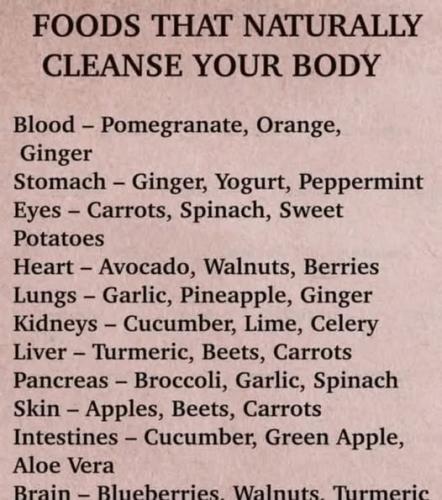 509157893_1541363176823594_671014962025270714_n