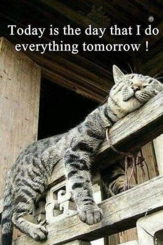 FB_IMG_1750352886303