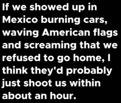 image_2025-06-12_063713736