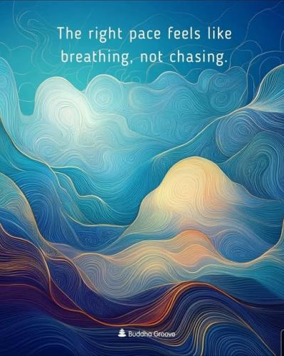 507214322_1329369279189106_5460400529728056495_n