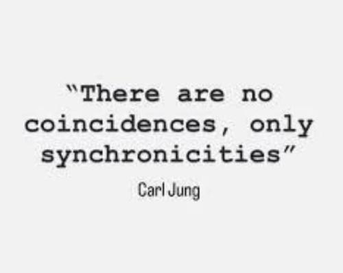 489015531_9459772484104552_495368489122396221_n