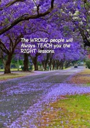 512574733_730912709824924_2979346259195797634_n