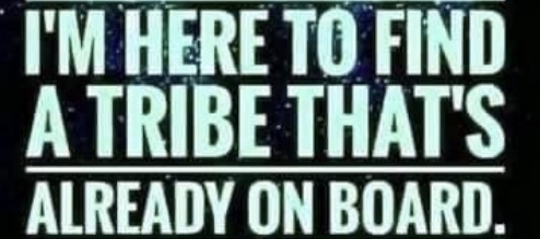 Image 03-04-2024 at 00.12 (1)