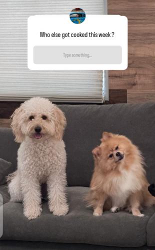 21:43:23 GMT+0100 (WAT)