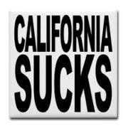 FB_IMG_1749349534606