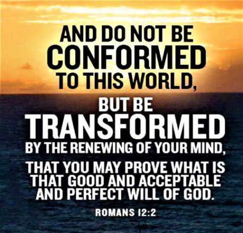 506336675_9975477029154516_7867218277616032976_n