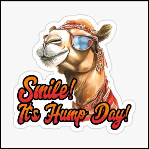 1-Hump Day