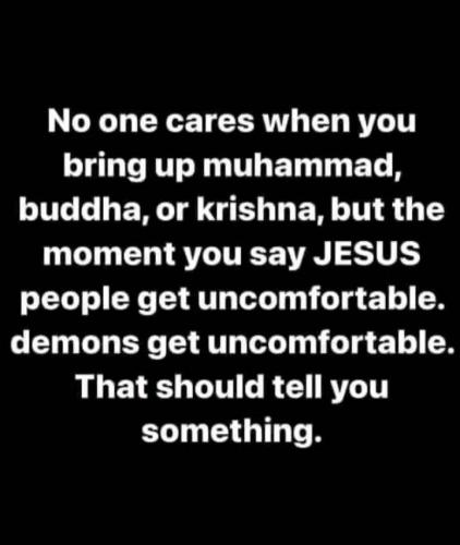 501049843_1142621271226362_4353560805688641795_n