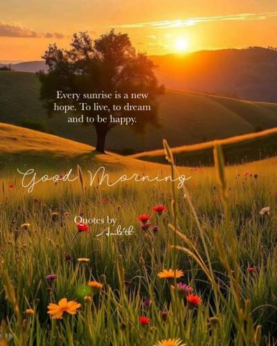 511393842_17880963705337817_1715091281925267680_n