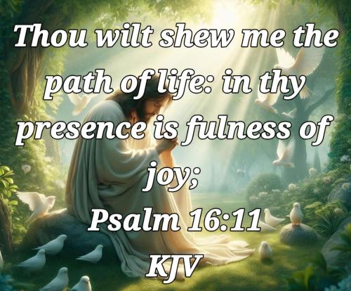 198fa791-e77e-49fc-846d-d90d4ca5e9b1