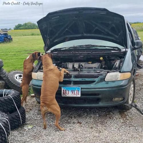 FB_IMG_1750779202574