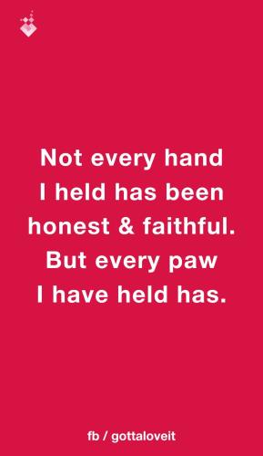 FB_IMG_1750199300441