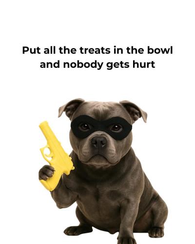 FB_IMG_1748910050172