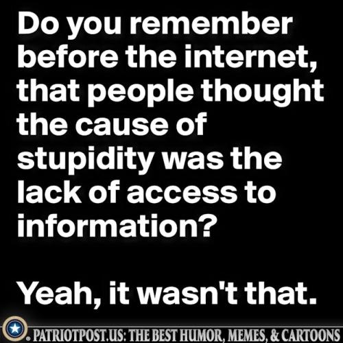 01JXER4Y5ZD75K1E9RGDJFGN8N