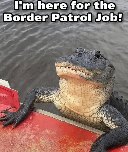 Screenshot_20250630-085915