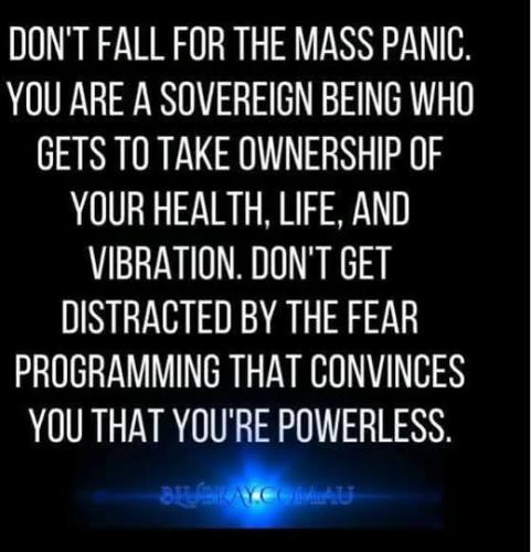 508262275_724884967094365_7744029283935009564_n
