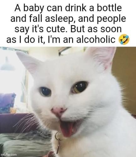 FB_IMG_1750273197516