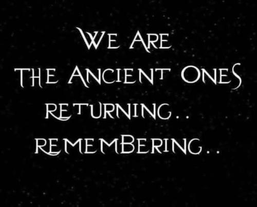 510640480_729418786640983_5822332325772071343_n