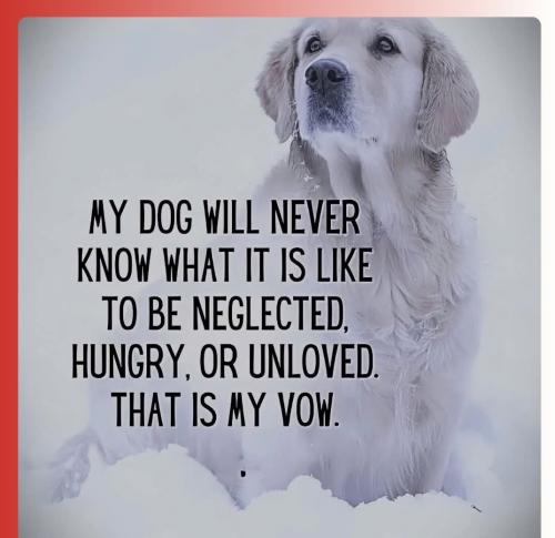 FB_IMG_1749840457236_resized