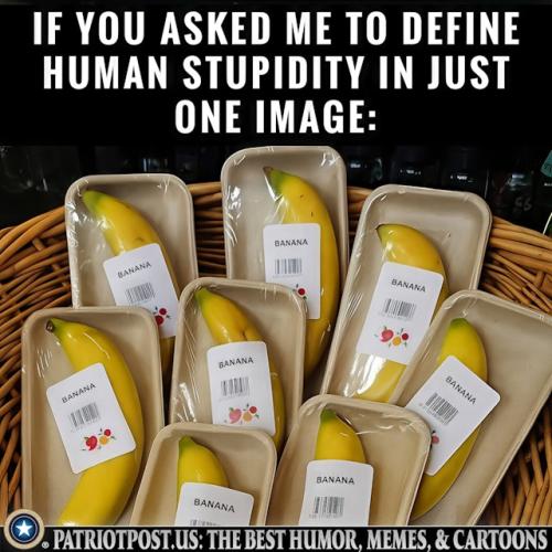 01JYJPAANDPZMG6CT2NY49TVVV