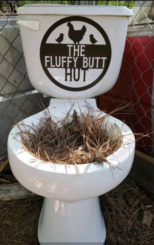 FB_IMG_1750078464407