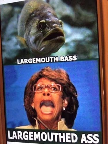 09e49d22-3502-43b1-8a40-7d8bf3491372