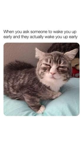 FB_IMG_1749409934076