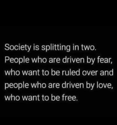 503987042_717895121126683_7366871900453430642_n