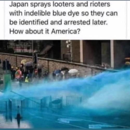 505372817_10225049795390927_5399977099463769874_n