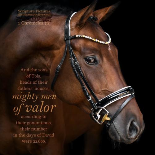 1-chr-7-2-JPS-unsplash