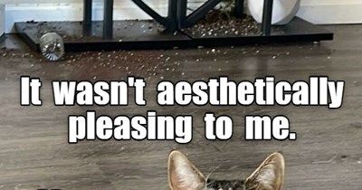 f0e740c0afc728ee069b2339b954f057