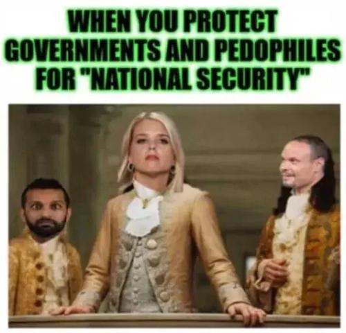 protect-for-national-security