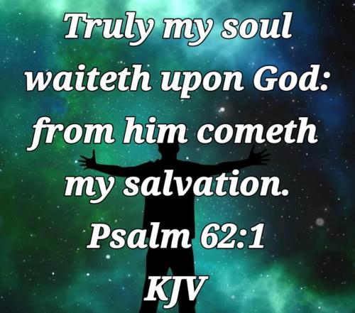 e1255b9d-14f9-4a29-9bd8-35f8ac7e856e