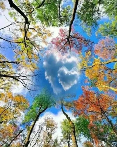 518131538_1074705638123950_8050214767374208594_n