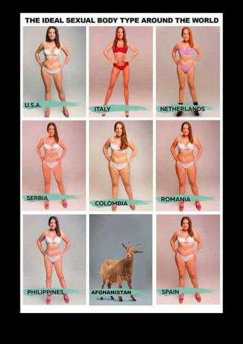ideal sexual body types