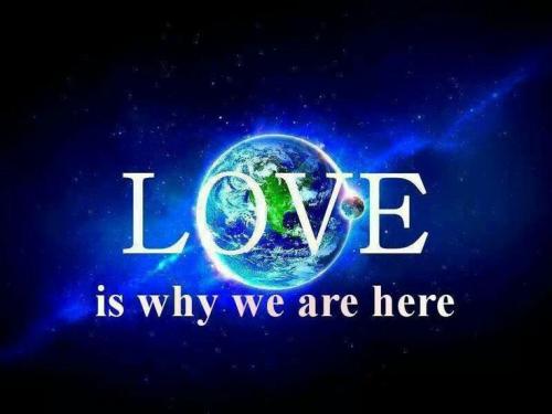 e72a421a9a8309c06cf16c3a94ea03f7