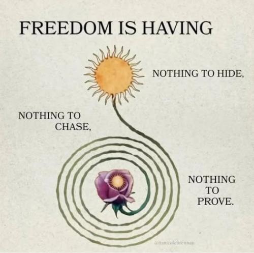 520899977_122219753966088259_6939675795709721475_n